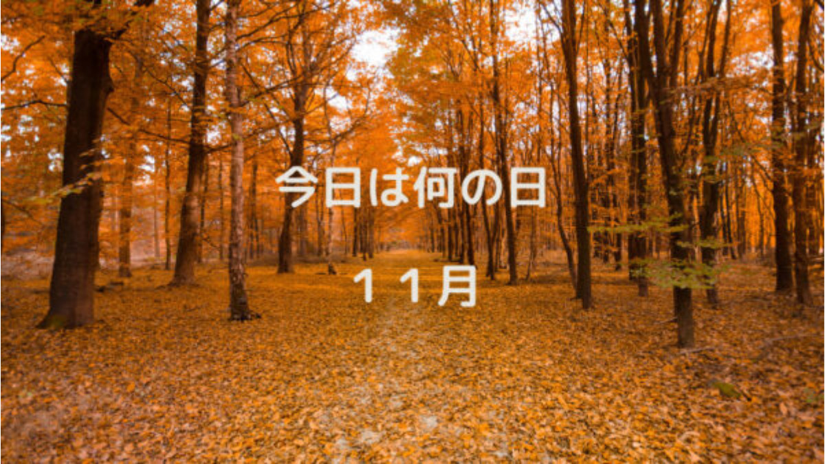 今日は何の日 11月