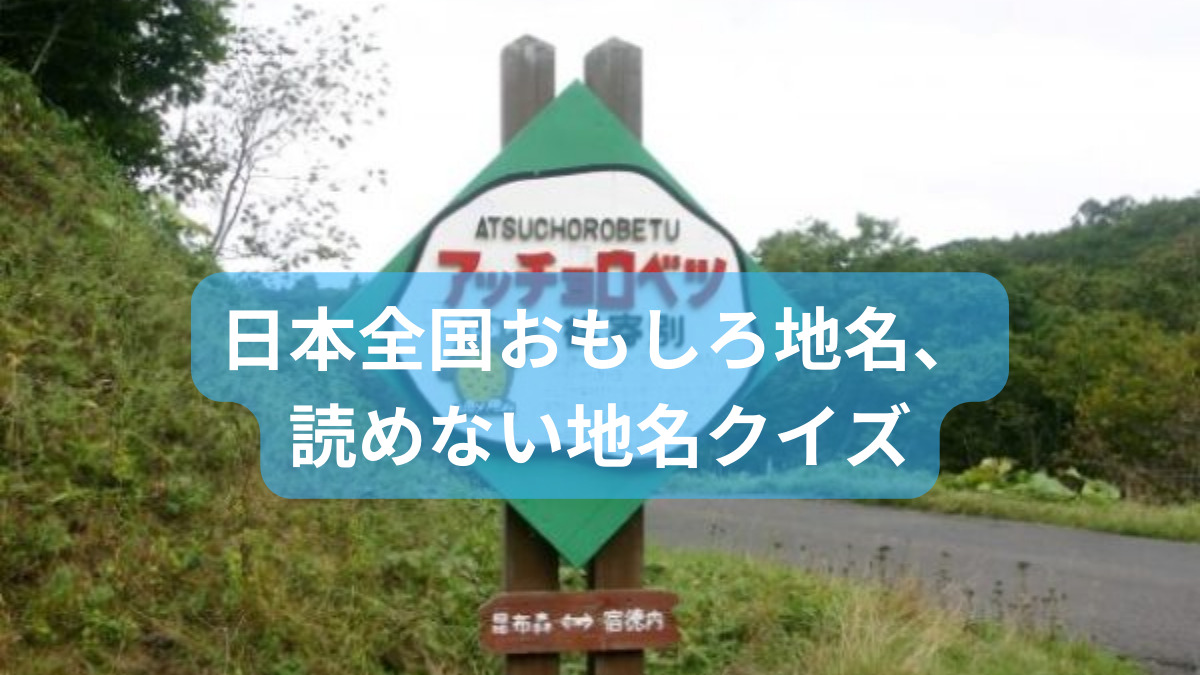 沖縄 わらび籠 今帰仁 ふた付き 大 【高齢者向けレク】全国の面白い