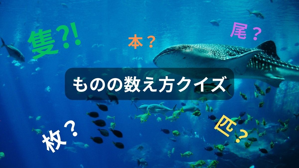ものの数え方クイズ